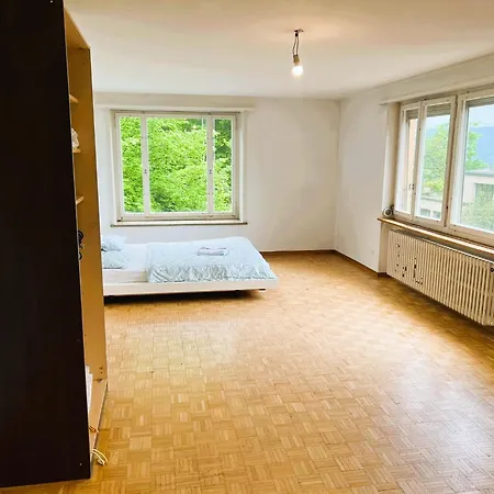 Center Flats With Balcony Garden View Rigi Self Checkin Zurich