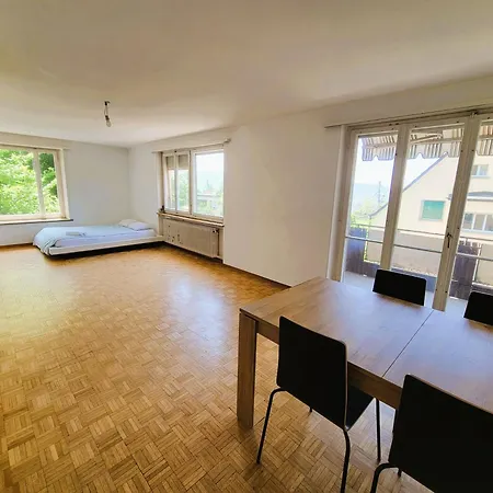 Center Flats With Balcony Garden View Rigi Self Checkin Apartment