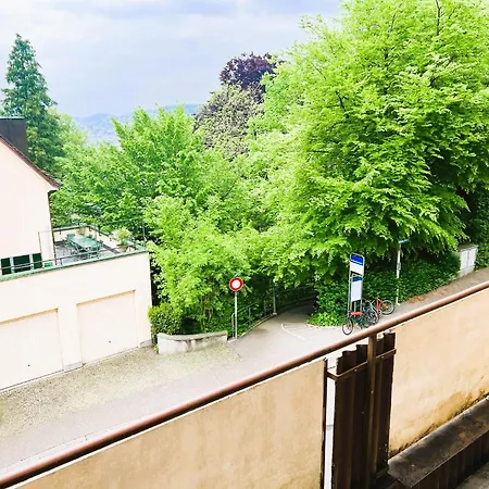 Center Flats With Balcony Garden View Rigi Self Checkin Apartment *