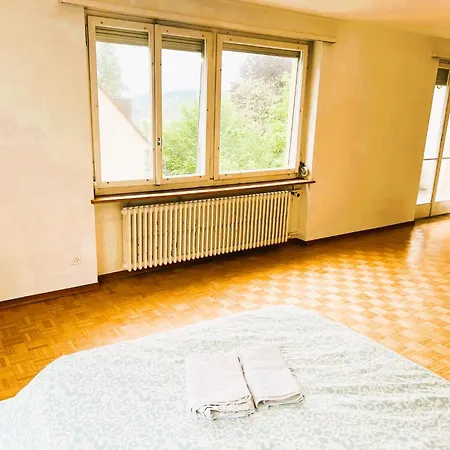 아파트 Center Flats With Balcony Garden View Rigi Self Checkin *